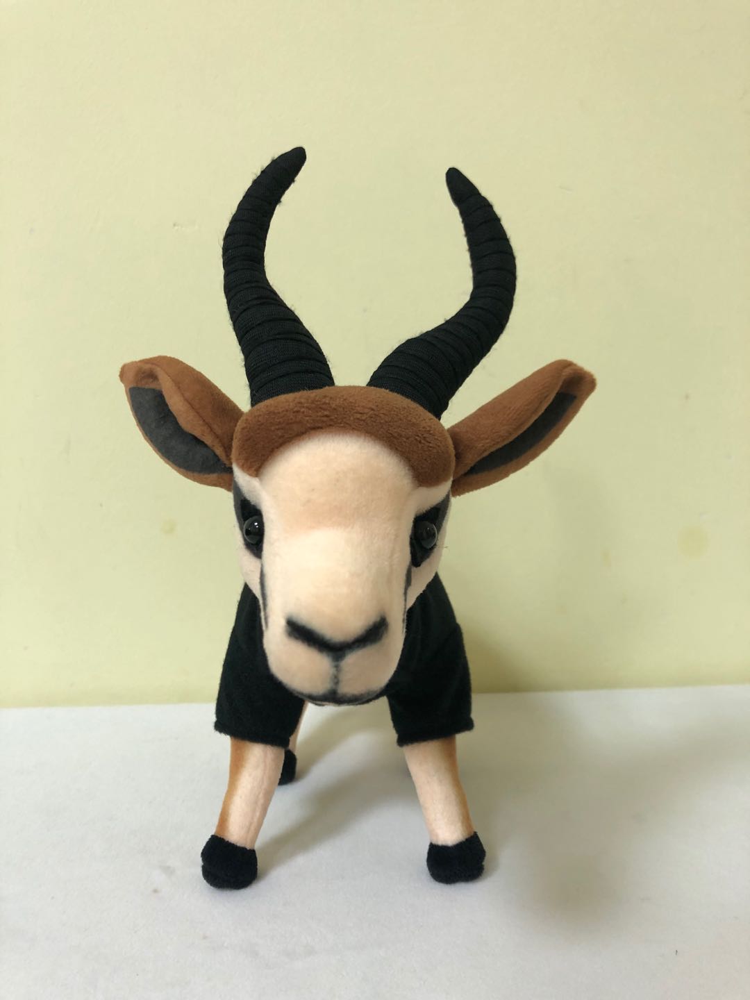 マスコットキャラクター完成!!