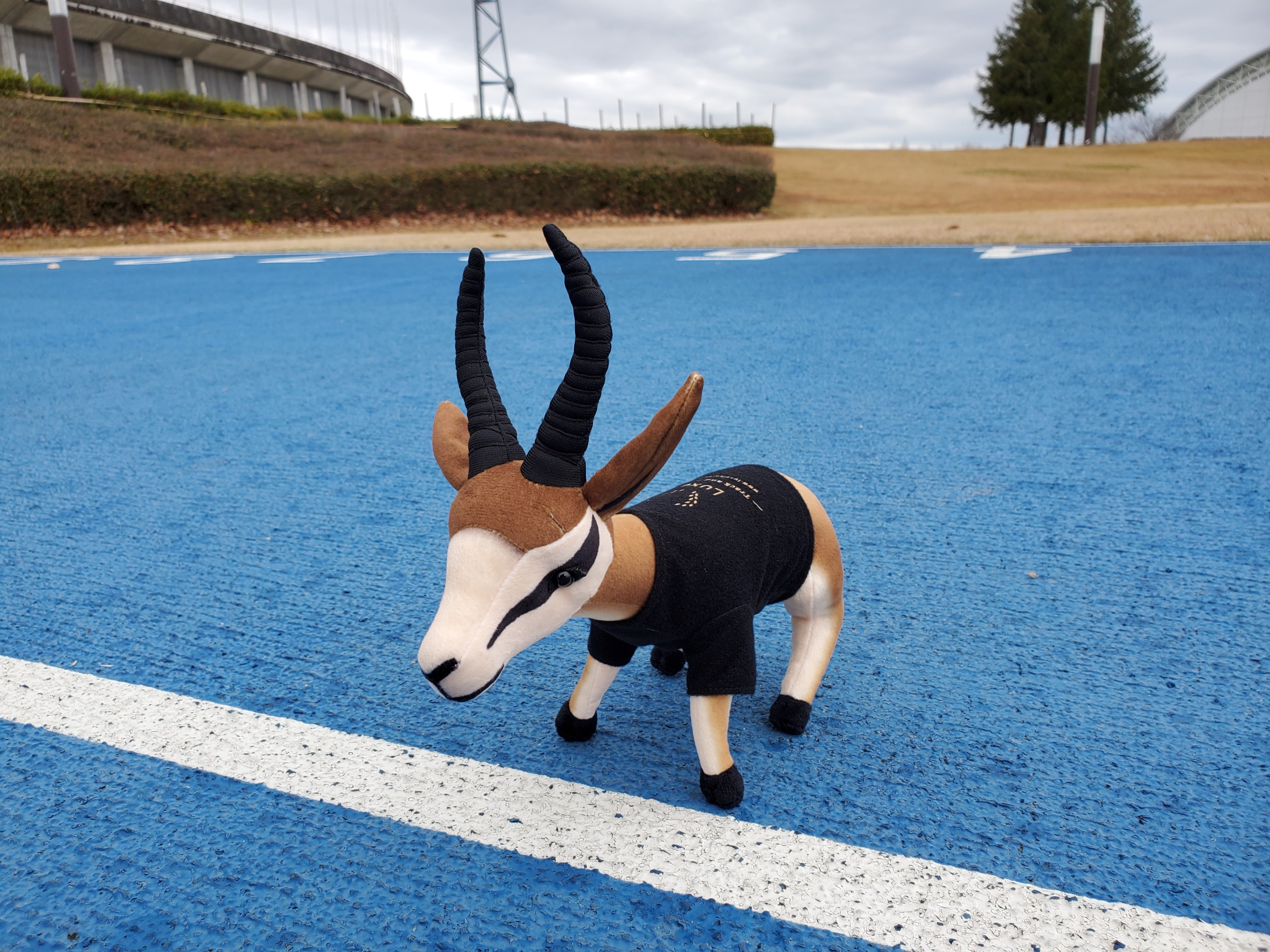 公式グッズ、ネット販売開始！