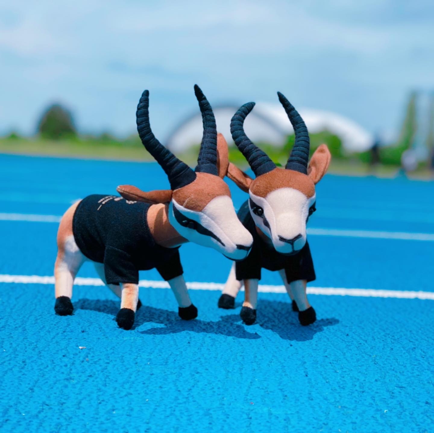 ★リュクス君写真集★