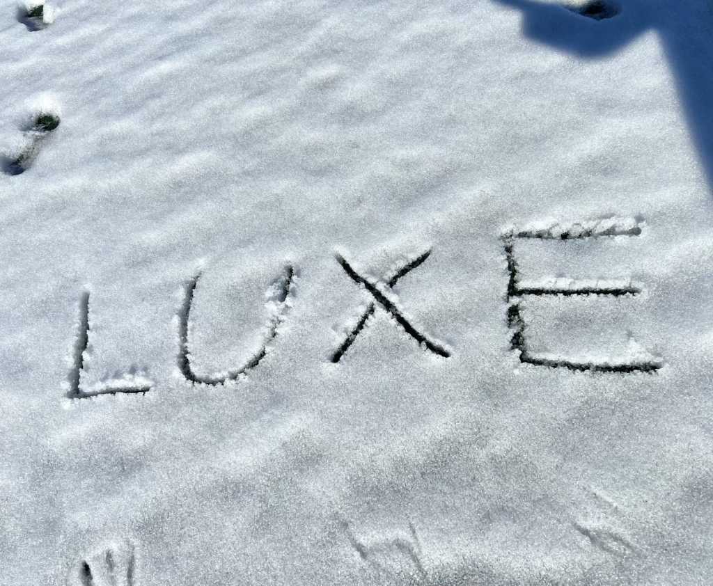 ★1月8日(土)富山合同教室★