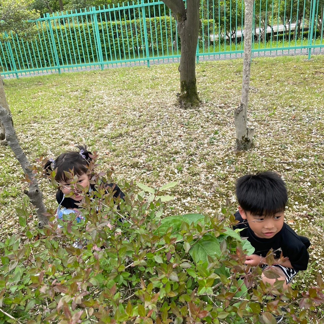 ★5月21日(土)富山合同教室★
