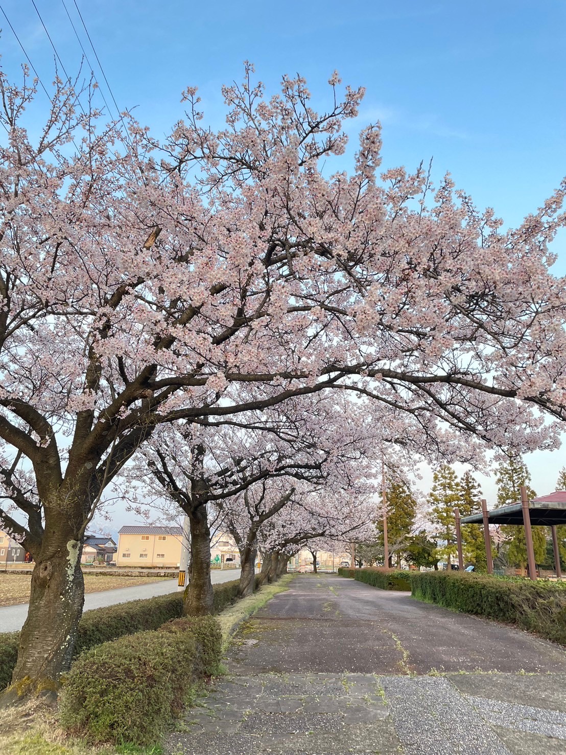 4月10日(水)富山・滑川教室