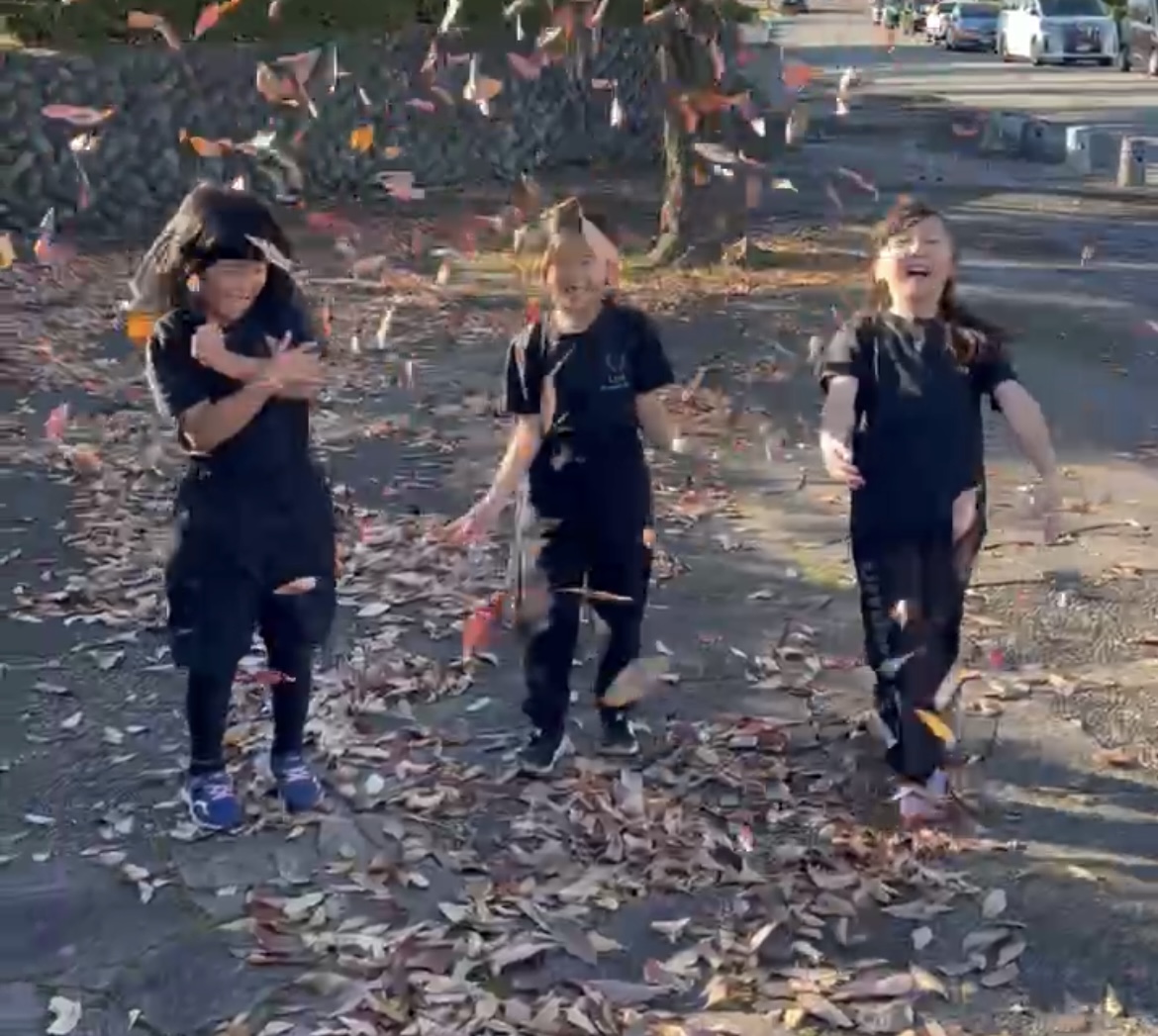 11月15日（土）🐈Luxe合同教室🦍